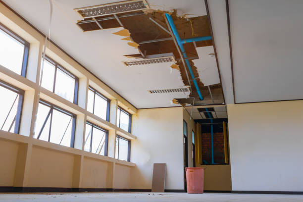 Best Water damage cleanup near me  in Fairwood, MD