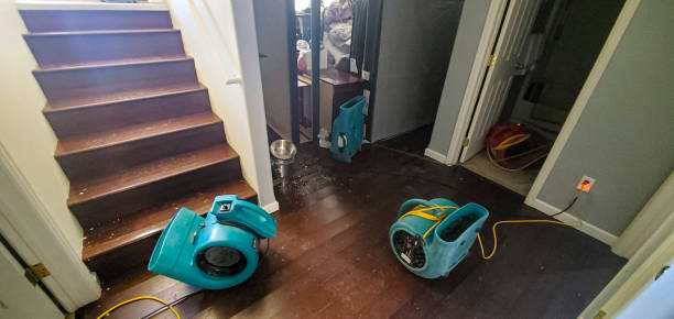 Best Emergency water extraction  in Fairwood, MD