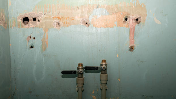 Best 24/7 water damage repair  in Fairwood, MD