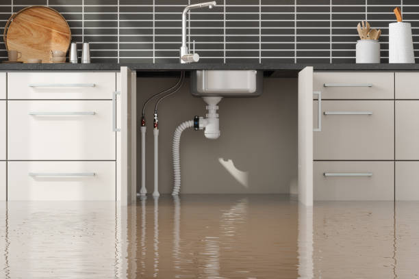 Best Sewage cleanup and water damage restoration  in Fairwood, MD